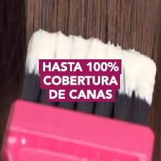 2 cor intensa 228x228